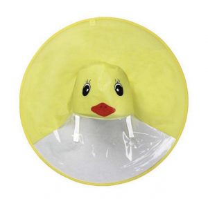 Regenjas eendje